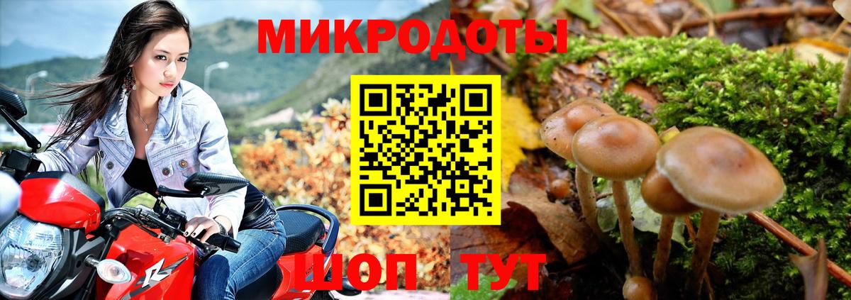 Галлюциногенные грибы Psilocybe  Псилоцибиновые грибы Cubensis  Вход с VPN  Ялуторовск 