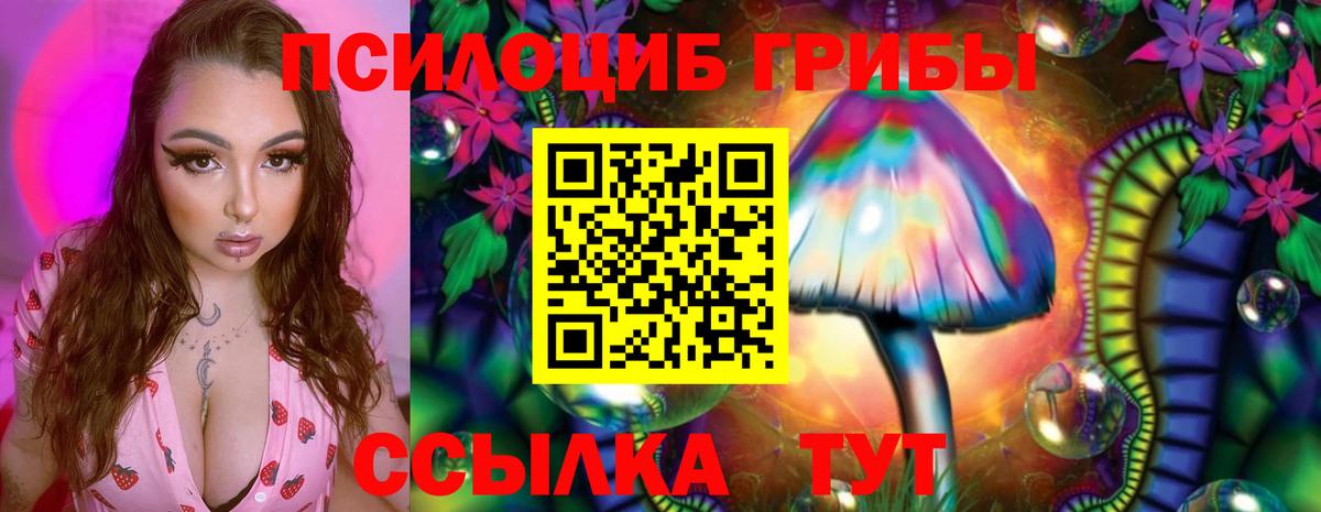 Галлюциногенные грибы MAGIC MUSHROOMS Ялуторовск